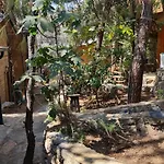 Reflections Camp