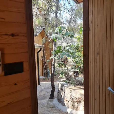 Reflections Camp Faralya