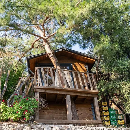 Reflections Camp Parque de Campismo Faralya