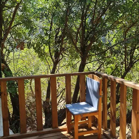 Reflections Camp Camping