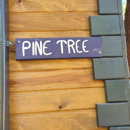 Camping Reflections Camp