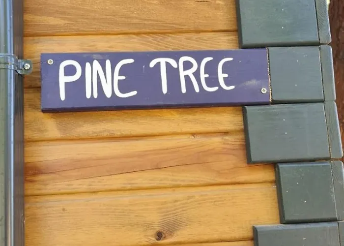 Campeggio Reflections Camp