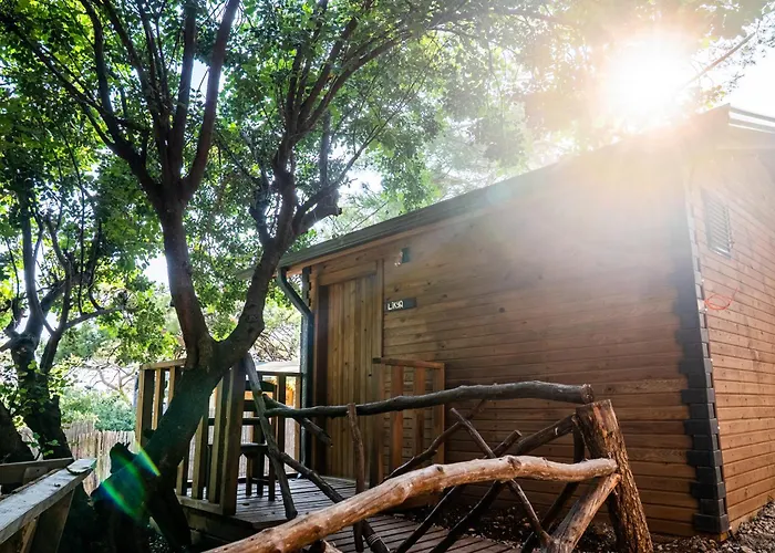 Campeggio Reflections Camp *